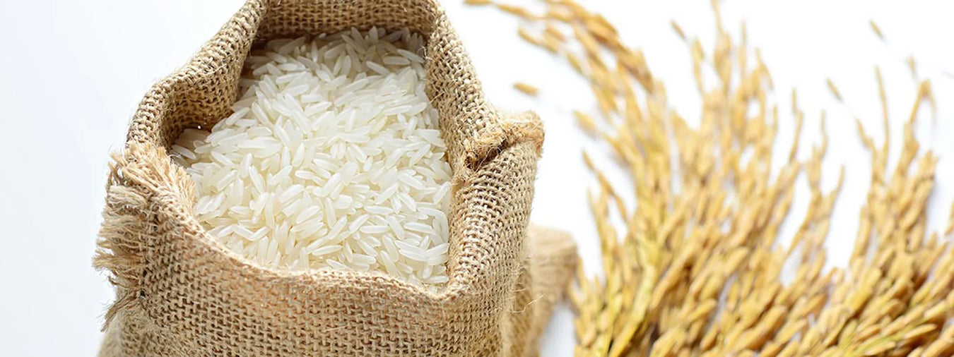 雜貨-Rice Grain 米類