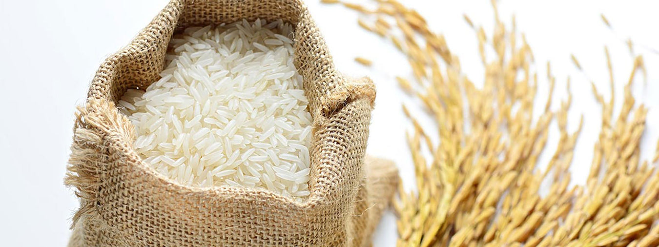 米類 Rice & Grains