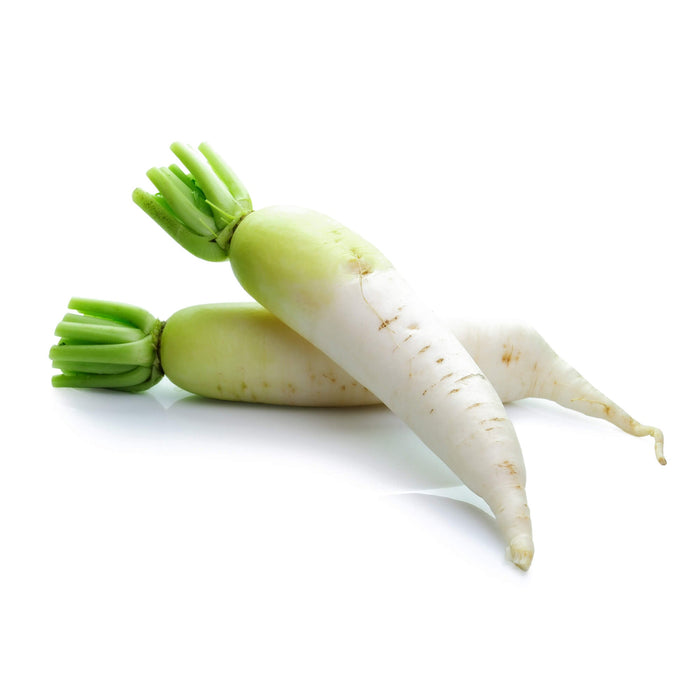白蘿蔔 - Daikon Radish 3lbs