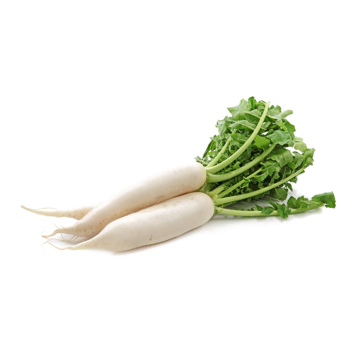 白蘿蔔 - Daikon Radish 3lbs