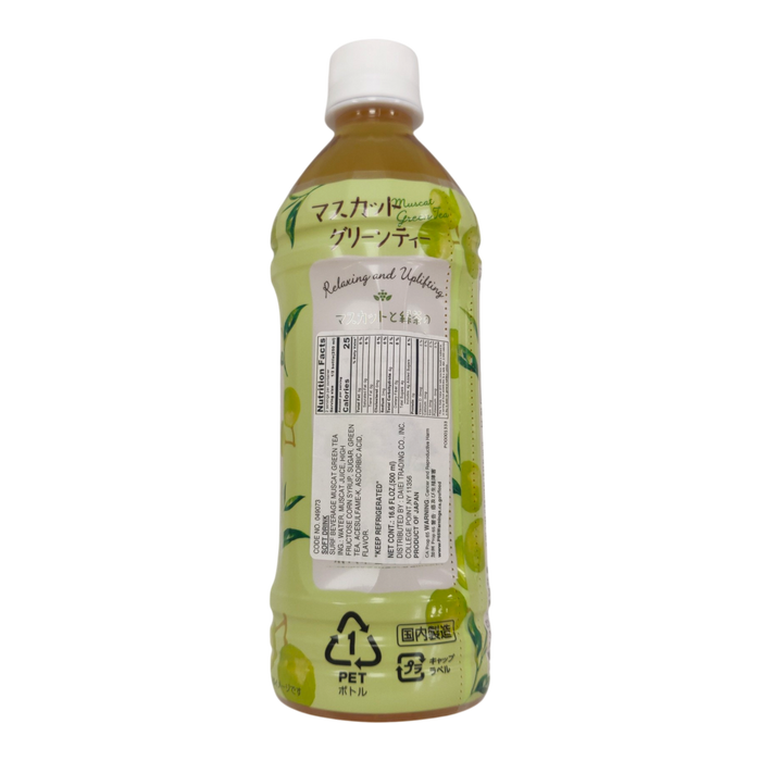 Surf Beverage Muscat Green Tea 500Ml