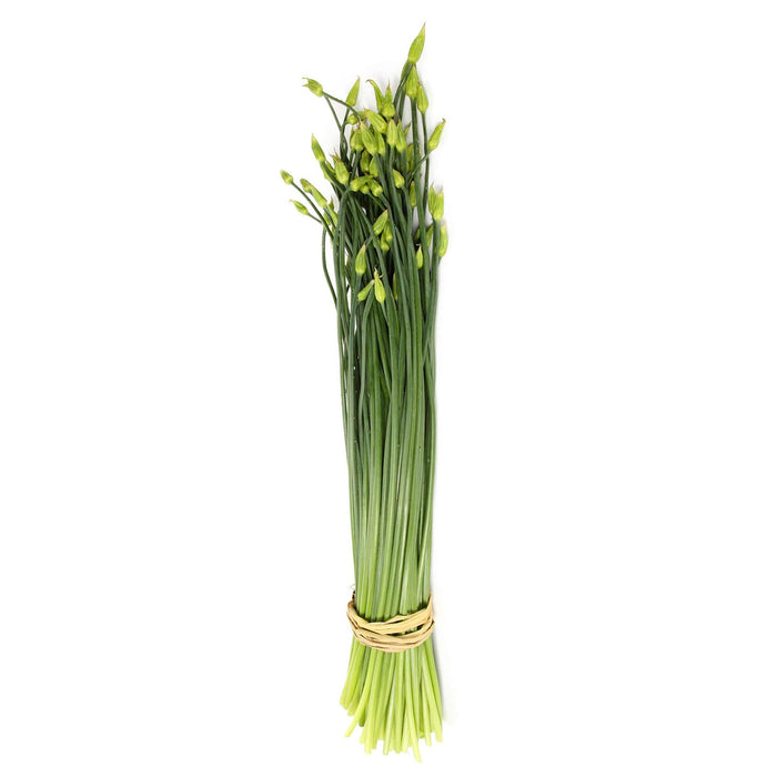 韭菜花 - Garlic Chive w/flower 0.35 lbs