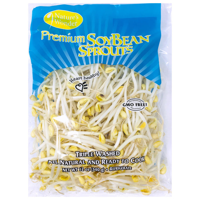 黃豆芽 - Soybean Sprout 12oz