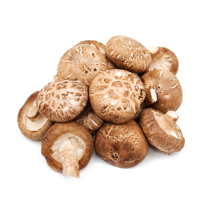 鮮花菇 - Shiitake Mushroom