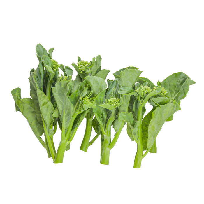中芥蘭苗 - Chinese Broccoli Leaf