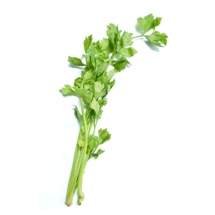 中芹菜 - Celery