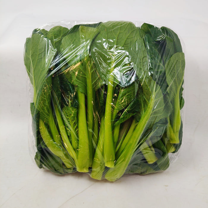 油菜苗 - Yu Choy Leaf 1.5 lbs
